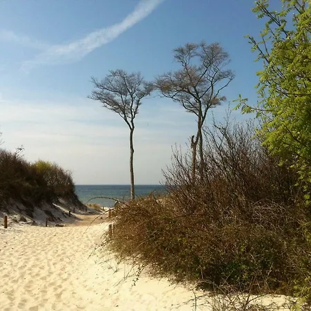 Lejlighed Ton Timmermanns Hus