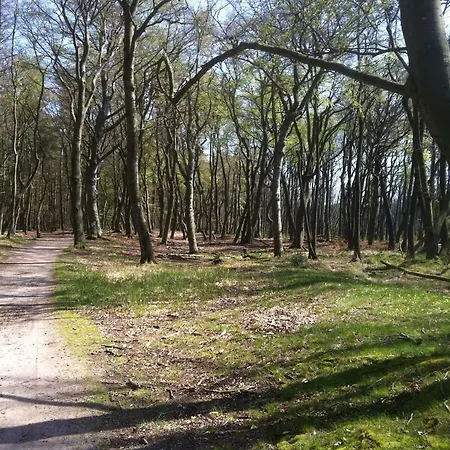 Ton Timmermanns Hus Lejlighed Prerow